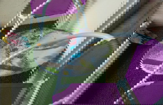 Pinang Beach Apartment at Bayu Emas - Photo 11