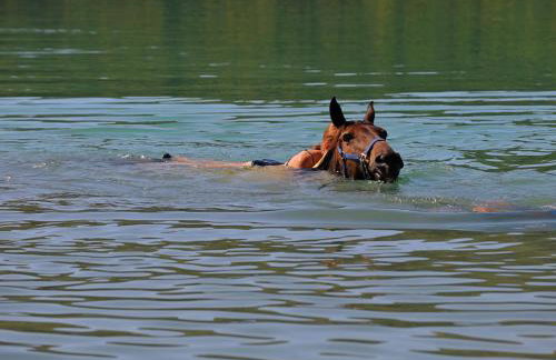 Holiday Home Klen 2 by Interhome - Foto 18