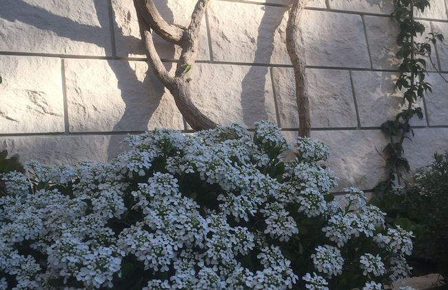 Apartments Pera - Photo 62