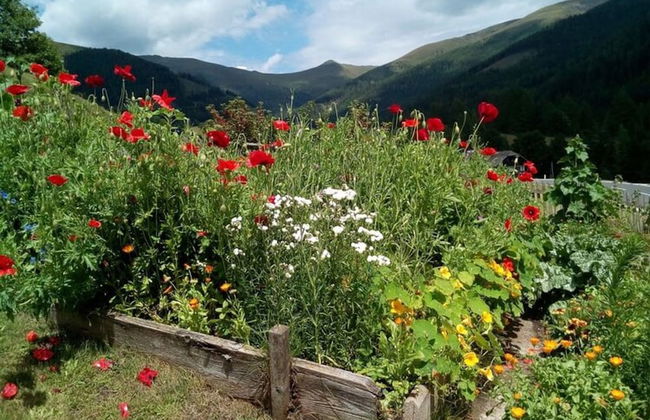 Holiday Home in Bad Kleinkirchheim - Photo 35