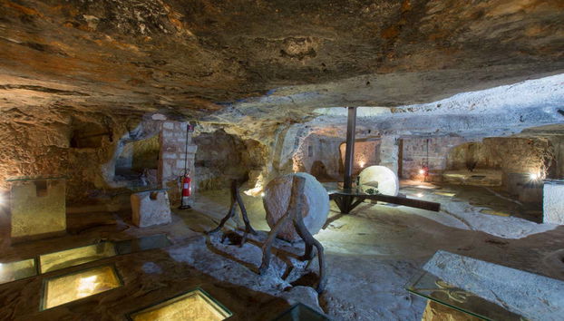 Olive Oil Tasting - Foto 5