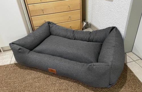 Morgensonne - Foto 26