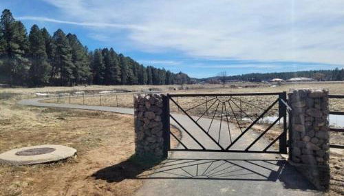 Penthouse Suite at Meadow View! - Foto 5