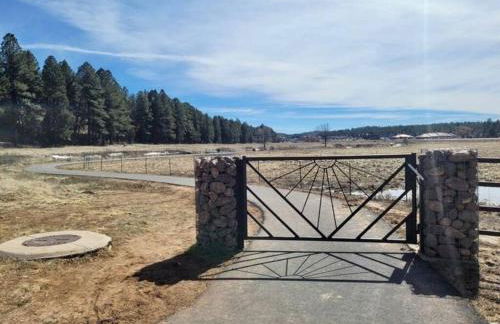 Penthouse Suite at Meadow View! - Foto 5