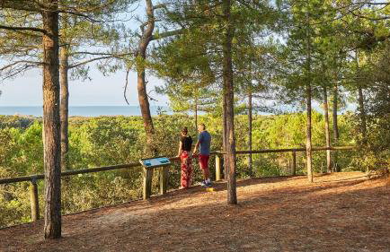 Aux Pas Sages, 4 logements mitoyens, proche mer - Foto 21