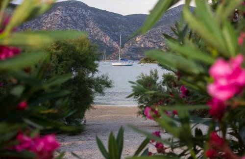 Apartmani Tonko - Foto 31