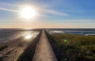 Ferienhaus Frische Brise direkt am Nordsee Deich - Foto 28