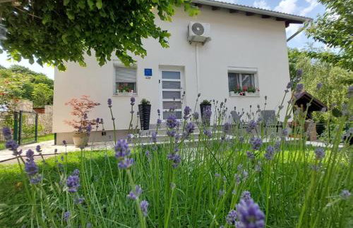 Studio apartman Marta - Foto 32