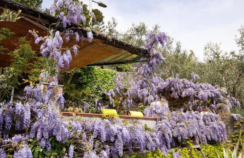 Il Nido a Portovenere - Foto 74