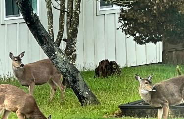 Rudders Rest - Foto 30