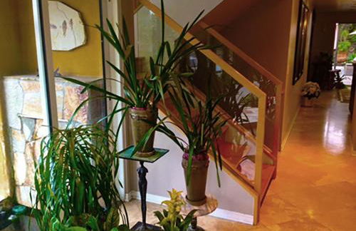 Rent Laguna Beach Sanctuary - Foto 42