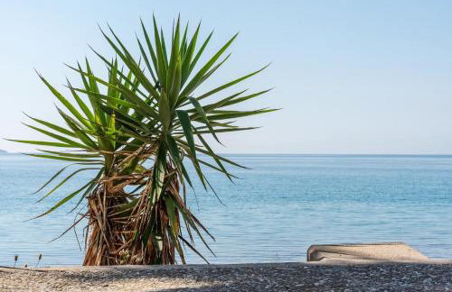 Γκαρσονιέρα 2 δίπλα στη θάλασσα! - Foto 12