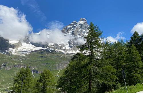 Baita delle marmotte CIR n 0012 - Foto 28