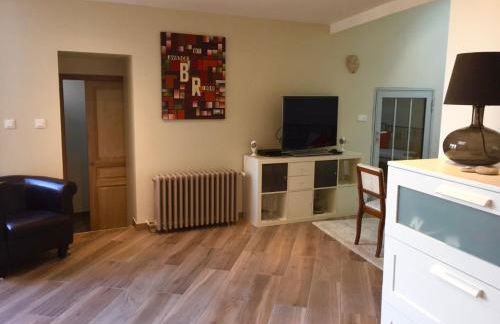 Belle demeure de 1820, classée, à 5 mn de Blois, 10 mn de Chambord - Foto 30