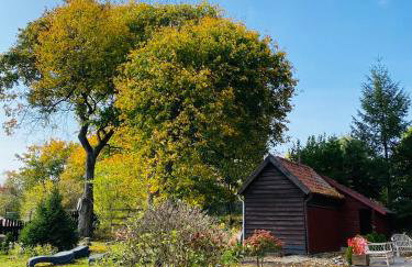 Dworek Mazurski Ruś Gospodarstwo Agroturystyczne - Foto 16