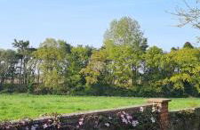 Begonia Cottage - Foto 28