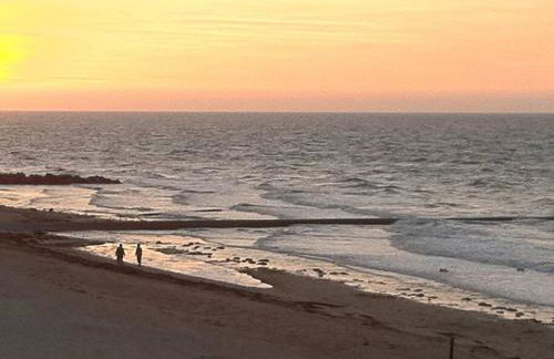 La BALEINE BLEUE - Foto 17