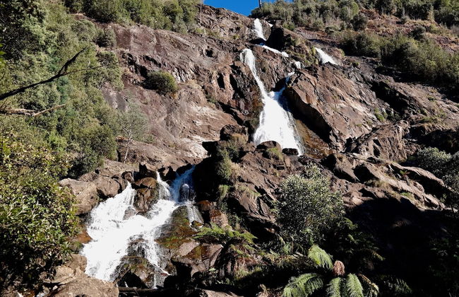 BIG4 TASSIE GETAWAY PARKS ST HELENS - Foto 71