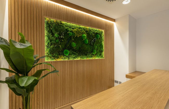 BIBO SUITES SAN AGUSTIN - Foto 2