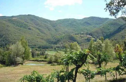 Villa Il Corniolo - Foto 23