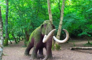 Apartamento Gibaja - Foto 33