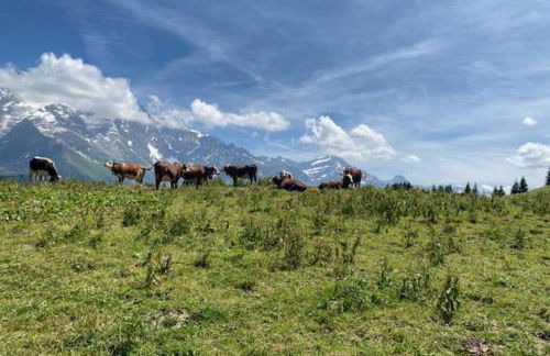 T2 with pool in Saint-Gervais-les-Bains - Foto 27