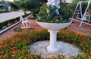 EVIA RIVIERA - Photo 60