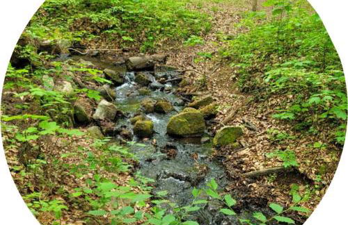 Ferienhaus Naturpur Chorin - Foto 50