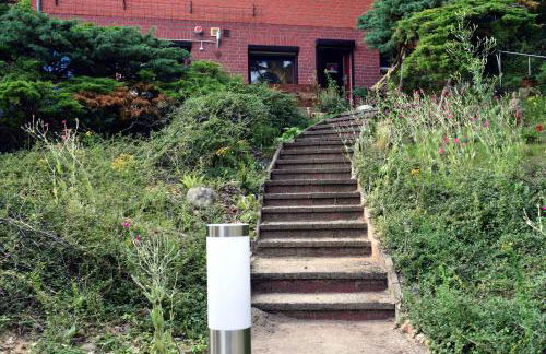 Elbwald-Studio - Foto 3