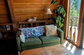 A-Frame Cabin with Sauna Deja Vu - Foto 18