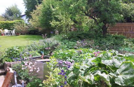 Ferienwohnung Pfänder - Foto 9