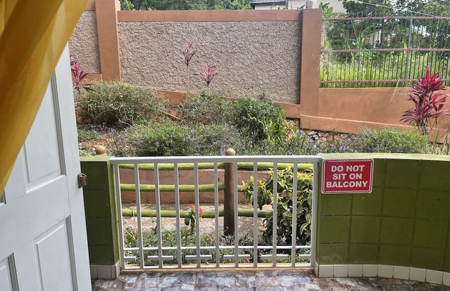 Pirate Palms - Foto 22