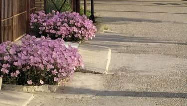 Seaside House - Foto 5