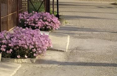 Seaside House - Foto 5