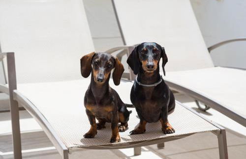 MY SEA VIEW HOLIDAY APARTMENT - Foto 26