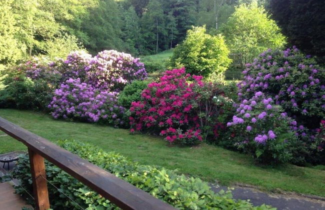 Romantic Stay in Saint-quirin - Foto 33