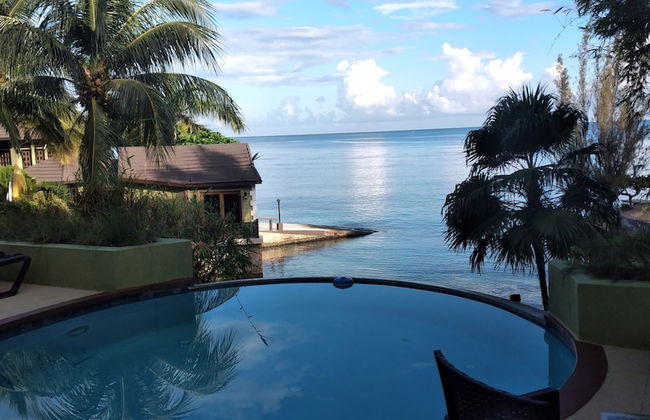 Crystal Cove Gems - Foto 13