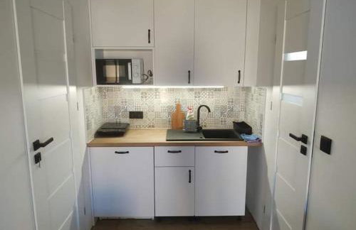 Agroturystyka Polana Giebułtów obok Świeradowa i zamku Czocha, domki przyjazne rodzinom z dziećmi - Photo 53