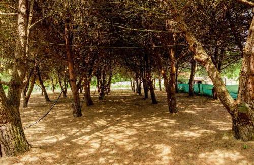 Quinta O Refúgio - Foto 16