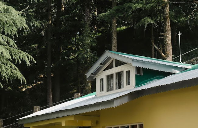 BluSalzz Villas - The Pine Tree, Dalhousie - Himachal Pradesh - Foto 44