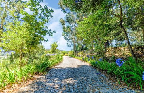 Forest Hideaway Near Douro Valley - Foto 20