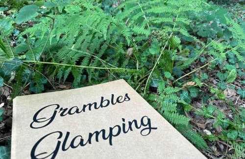 Cornwall Woodland Shepherd's Hut with Hot Tub - Deirdres Hut - Foto 38