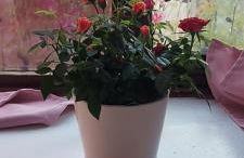 1-bed Apartment in Croydon -free Parking, Wifi - Foto 26