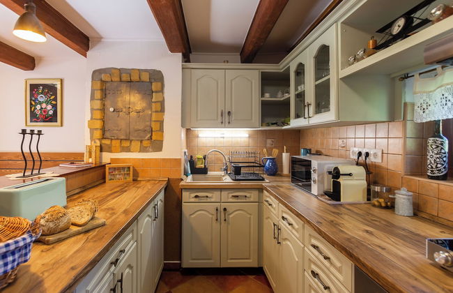 The Bird of Happiness-heaven for Dogs - Foto 11