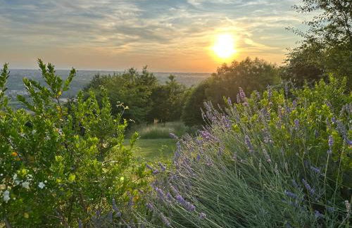 Ali e Radici Vacanze Piemonte - Foto 32