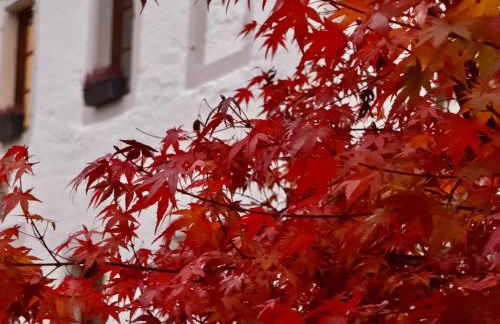 Ferienwohnung Burg Hausen - Foto 30