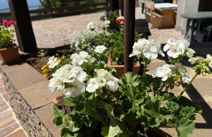 Presolana House - Photo 58