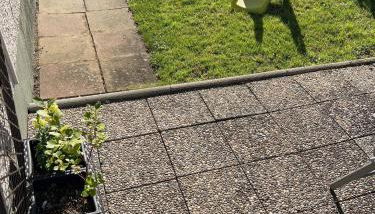 FeriendomizilaufderZollernalb - Foto 4, Garden