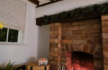 Little Lucy - Foto 11