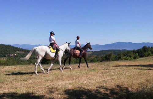 Tranquil Farmhouse in Umbria - Foto 44